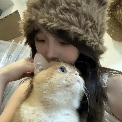 灰狐
